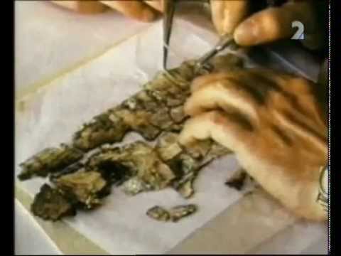 Veľké záhady: Záhada svitků od Mrtvého moře -dokument