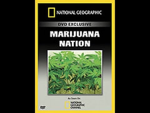 Historie Marihuany -dokument