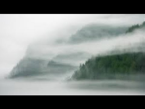 Smrtící mlha / Záhady přírody -dokument