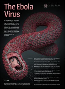Ebola -dokument </a><img src=http://dokumenty.tv/eng.gif title=ENG> <img src=http://dokumenty.tv/cc.png title=titulky>