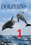 Delfíni očima špionážních kamer 1.část -dokument