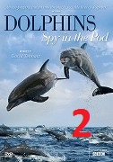 Delfíni očima špionážních kamer 2.část -dokument