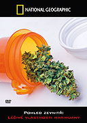 Pohled zevnitř: Léčivé vlastnosti marihuany -dokument
