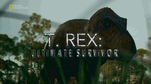 Tyranosaurus – mistr přežití -dokument