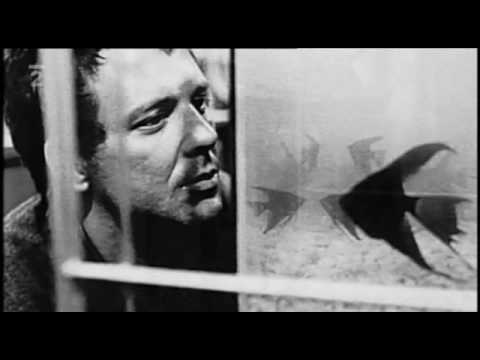 Životopisy: Nicholas Cage -dokument