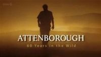 Attenborough – 60 let v divočině 3. část -dokument