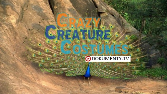 Bláznivé zvířecí kostýmy -dokument