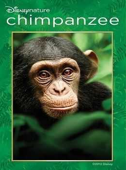 Šimpanz -dokument