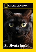 Ze života koček -dokument