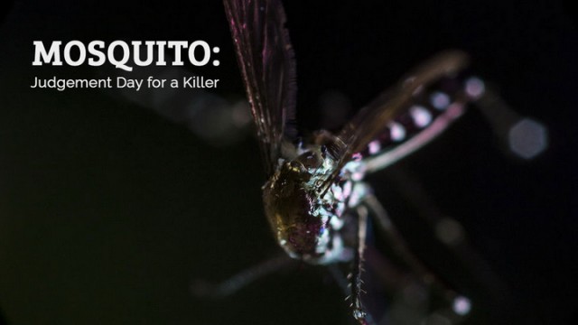 Komáři: soudný den pro zabijáky -dokument