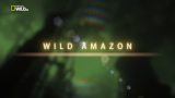 Divoká Amazonie / část 1: Kolébka života –dokument