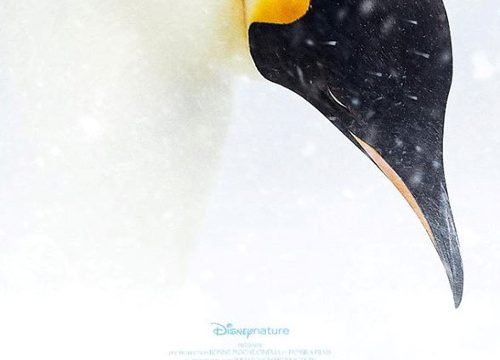 Putování tučňáků: Volání oceánu -dokument