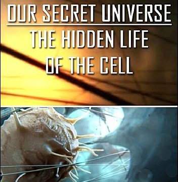 Tajný svět: Cesta do nitra buňky -dokument