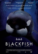 Kosatky / Blackfish -dokument