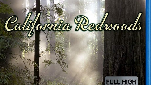 Living Landscapes:  Earthscapes – California Redwoods -dokument