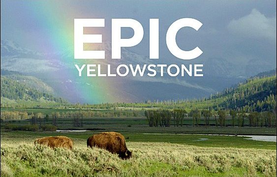 Impozantní Yellowstone  (komplet 1-4) -dokument