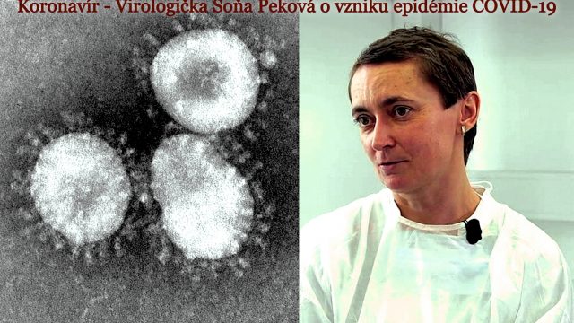 Coronavirus – o vzniku epidemie COVID-19 -dokument