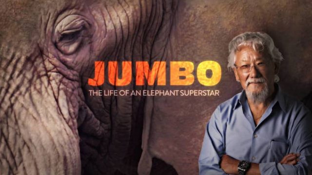 David Attenborough a legendární obří slon Jumbo -dokument