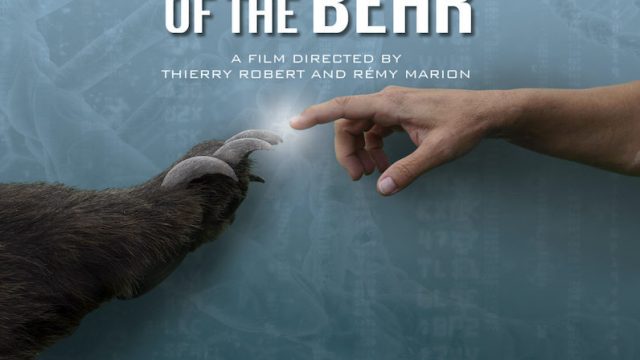 Superschopnosti medvědů -dokument