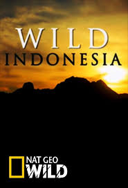 Divoká Indonésie (komplet 1-3) -dokument