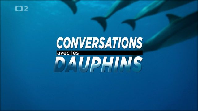 Komunikace s delfíny / Hovory s delfíny (komplet 1-2) -dokument