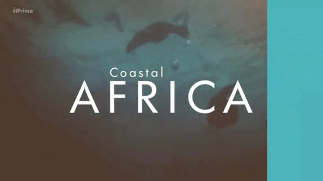 Krásy afrického pobřeží (komplet 1-4) -dokument