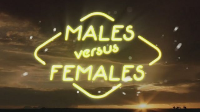 Samci versus samice (komplet 1-3) -dokument
