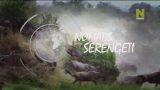 Nomádi ze Serengeti (komplet 1-5) -dokument