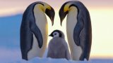 Antarktida: Příběhy z konce světa -dokument