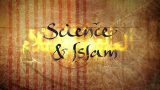 Věda a islám / část 2 –dokument