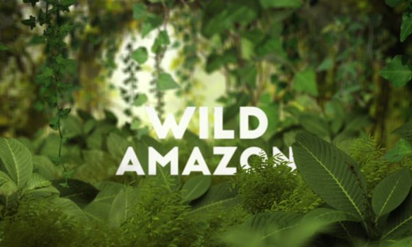 Divoká Amazonie / část 2: Nespoutaný svět –dokument
