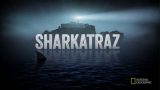 Žraloci u Alcatrazu -dokument