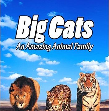 Velké kočky: Úžasná zvířecí rodina (komplet 1-2) -dokument