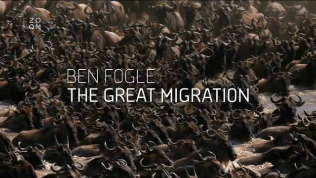 Tajemství velké migrace (komplet 1-4) -dokument