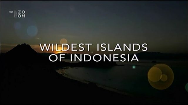 Nejdivočejší ostrovy Indonésie (komplet 1-5) -dokument