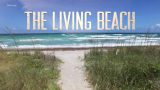 Živoucí pláže (komplet 1-6) -dokument