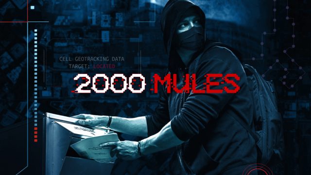 2000 kurýrů / 2000 Mules -dokument