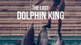 Konec krále delfínů -dokument