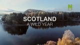 Skotsko: Rok v divočině (komplet 1-4) -dokument