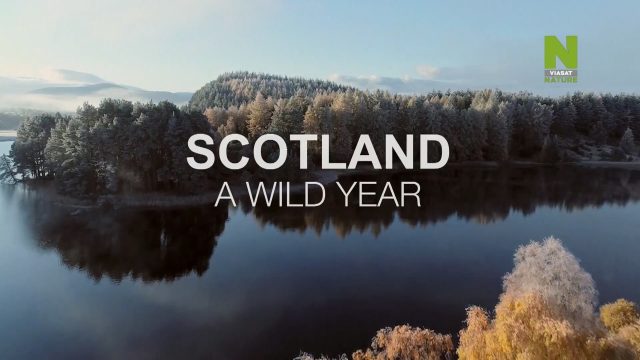 Skotsko: Rok v divočině (komplet 1-4) -dokument